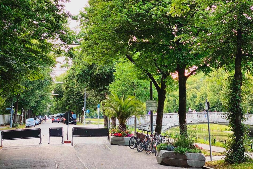 Sommerstraße in Nymphenburg